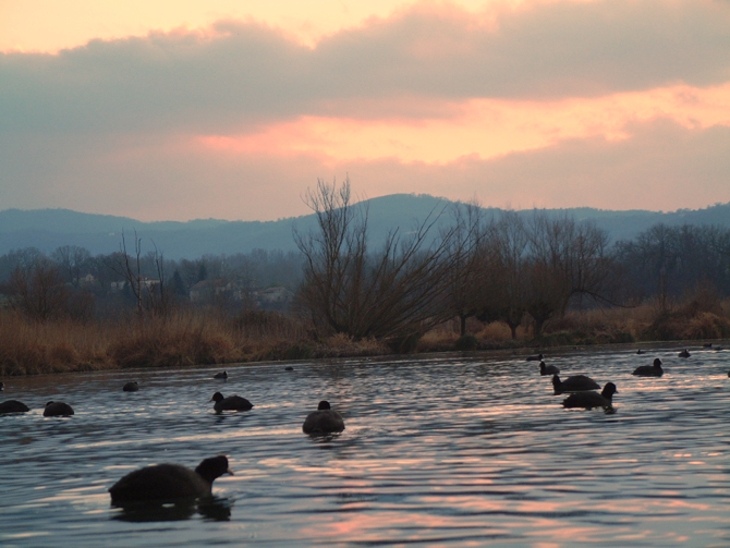 Riserva Regionale Lago di Posta Fibreno